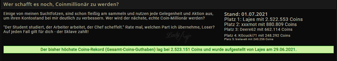 Coins Millionär Zahlsklave Lajes